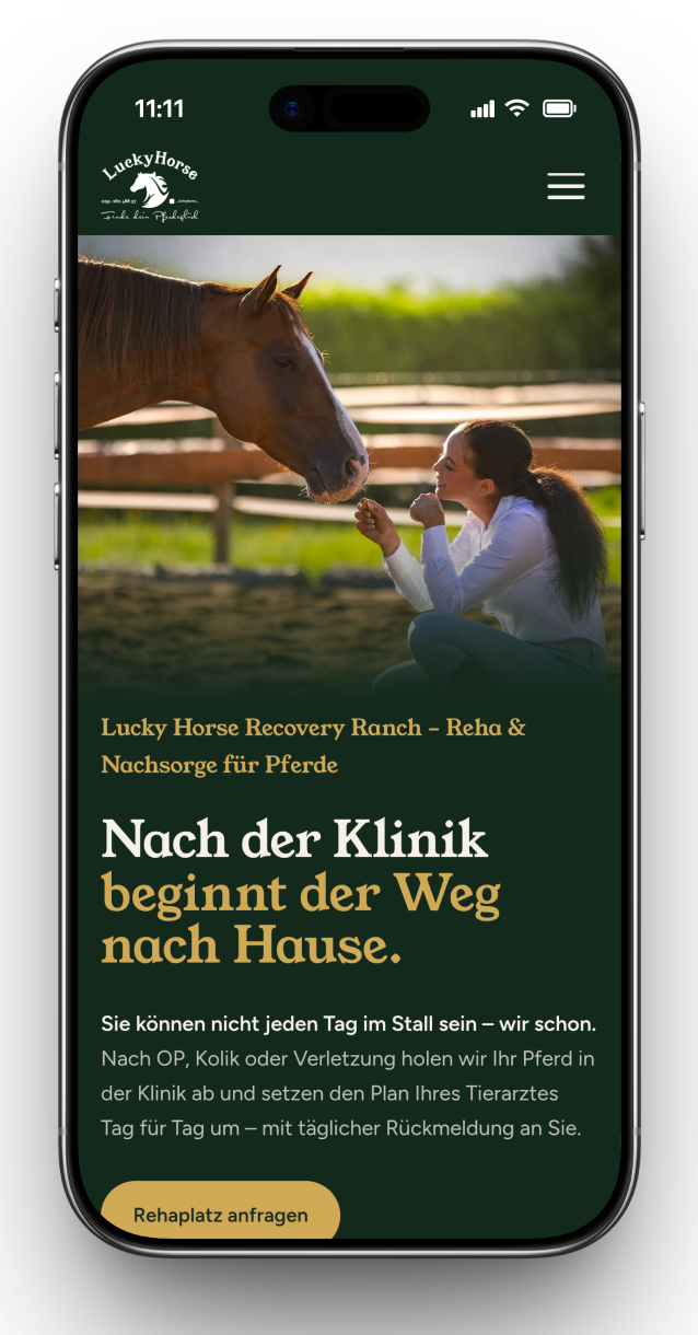 Lucky Horse Recovery Ranch